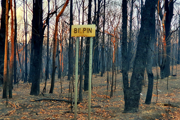 Article image for The simple way YOU can help our bushfire-affected communities