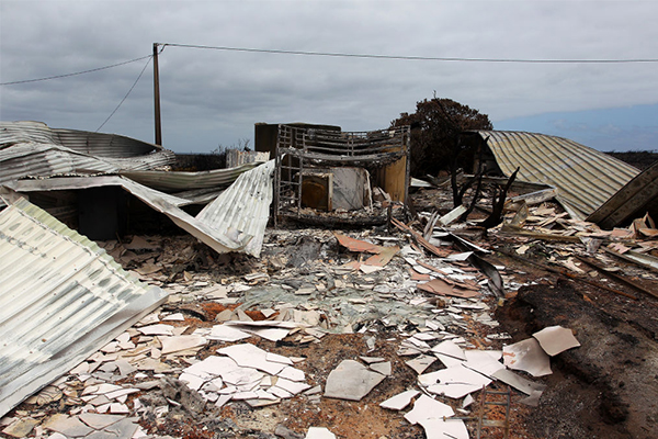 Article image for Holiday home owners urged to rent properties to bushfire-affected families