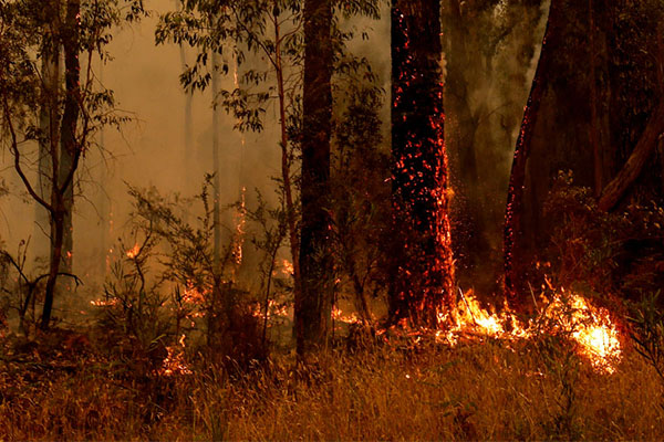 Article image for Climate change protest planned amid devastating bushfires