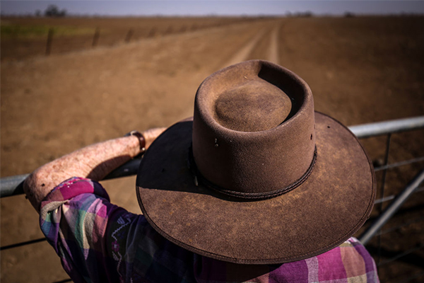 Article image for ‘Dreadful’ scam ripping off vulnerable, drought-stricken farmers