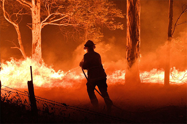 Article image for Education Minister calls for cultural burning to tackle bushfires