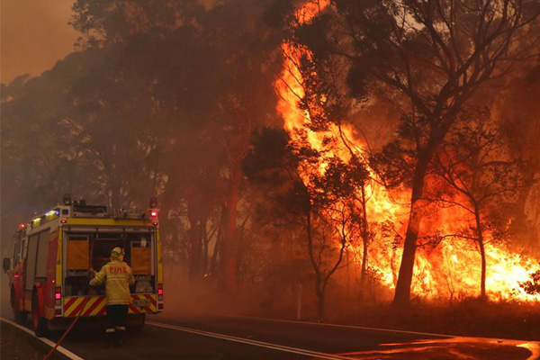 John Stanley: Bushfire Emergency Special