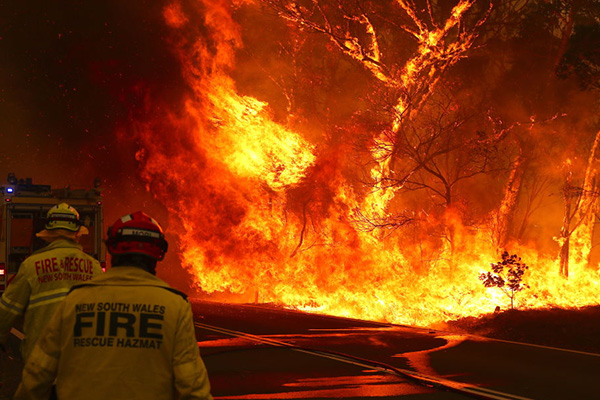 Properties guaranteed to be lost with ‘big wall of fire’ heading for NSW