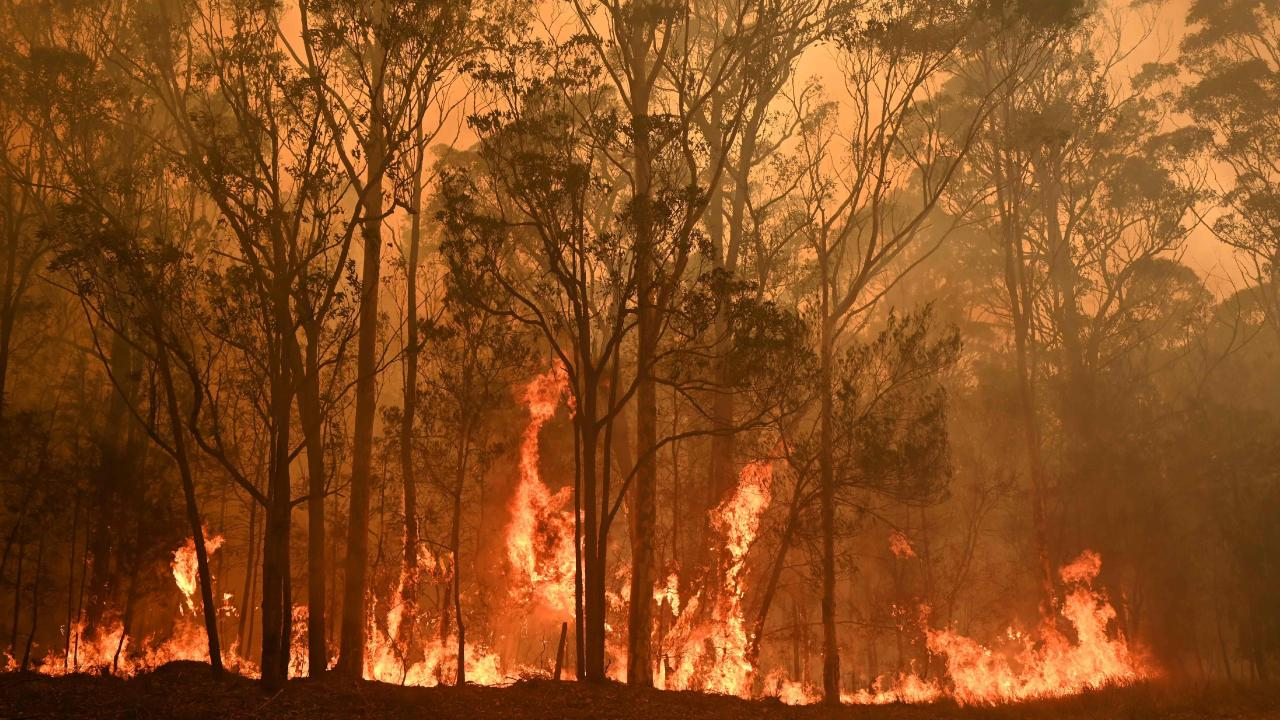Rugby League wraps its arms around bushfire-ravaged communities