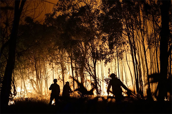 Article image for QLD firefighters opposing ticker-tape parade to honour them