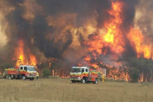 Red Cross raises $23 million for fire-ravaged towns in the new year