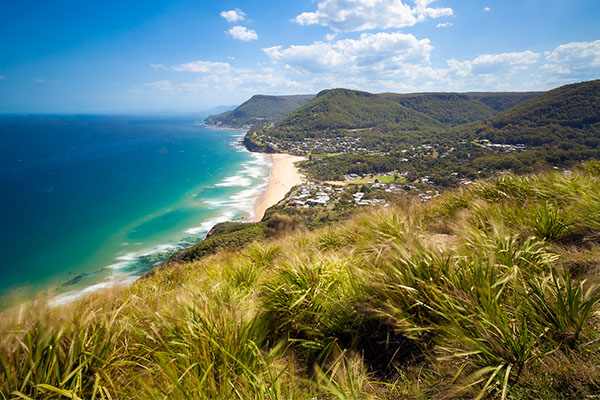 Sydneysiders encouraged to visit South Coast after devastating bushfires