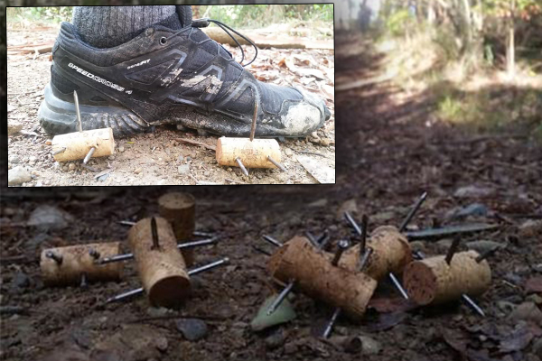 Article image for Gruesome booby traps found hidden on running trail