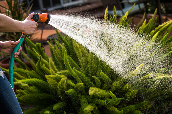 Article image for Thousands of Sydneysiders dobbed in during water restrictions