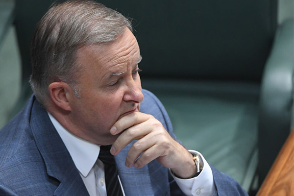 ‘Pure madness’: ABC show inspires Anthony Albanese’s aged care plan