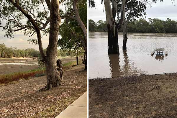 PHOTOS | The difference a bit of rain can have in just three weeks