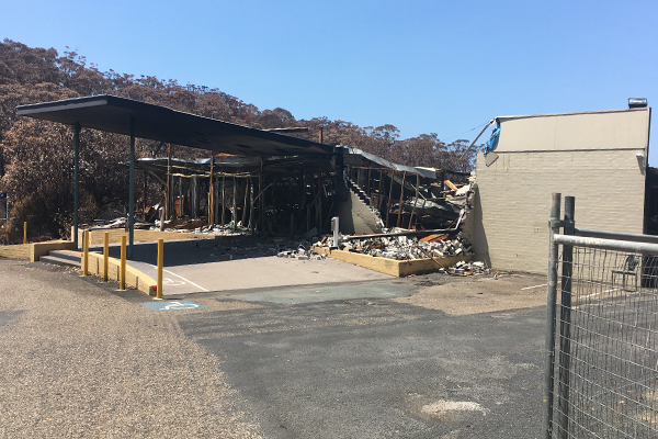 Article image for Bushfire-hit businesses considering legal action against the government