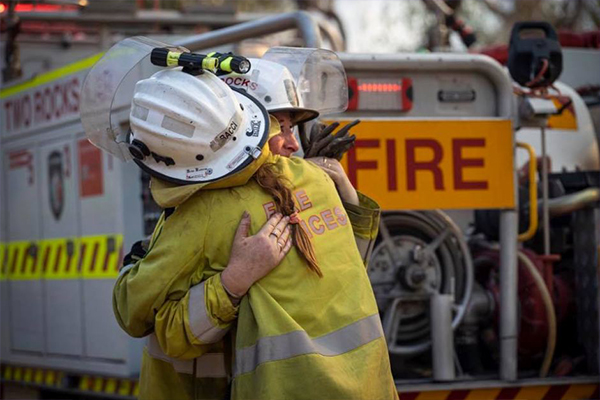 Article image for Lifeline launches bushfire recovery support line