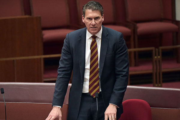 ‘Privacy will disappear’: Cory Bernardi slams ban on $10,000 cash payments