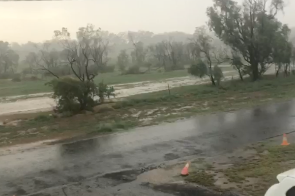 Article image for WATCH: Locals overjoyed by Roma rainfall