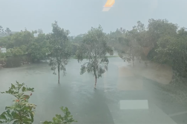 Article image for WATCH | Ray Hadley films flooding at 4BC studios