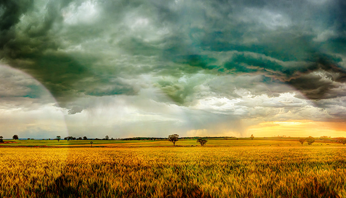 National Rural News February 27