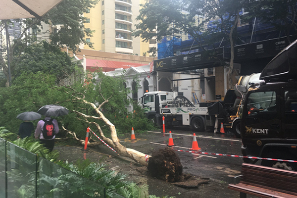 Brisbane CBD street closed as wild weather continues to wreak havoc