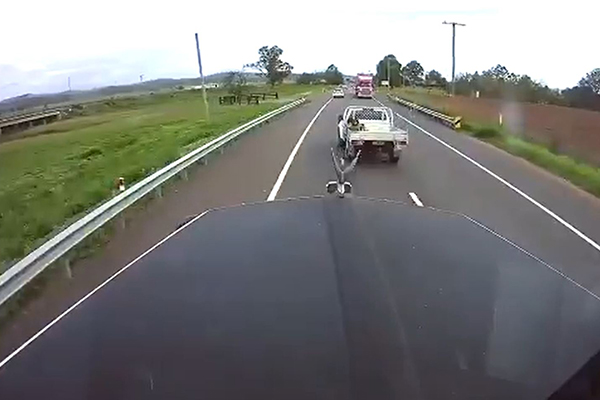 Article image for WATCH | Truckie captures footage of terrifying near miss