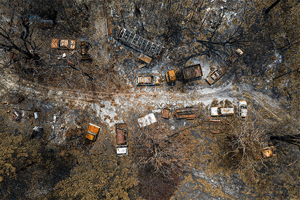 Article image for ‘No one can really withstand this’: Bushfire recovery stalls amid coronavirus outbreak