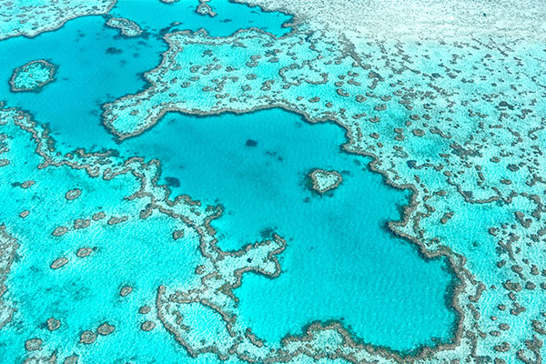 Man dies after shark attack on Great Barrier Reef