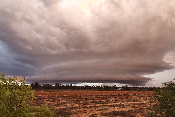 Article image for Welcome rain showering dry paddocks