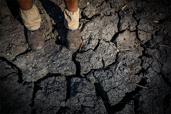 ‘It’s life-saving’: Country crippled by drought drenched in rain