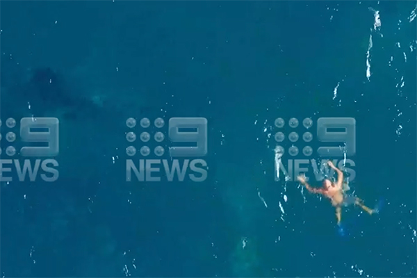 Article image for Ben Fordham clashes with Minister over Aussie hero who saved a young whale