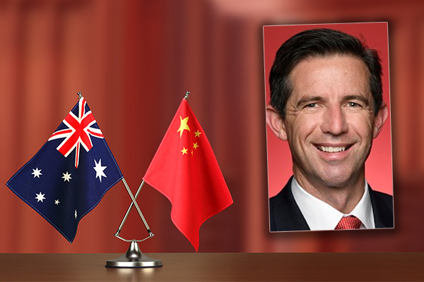 Article image for ‘This is about getting answers’: Trade minister presses China to join COVID-19 inquiry