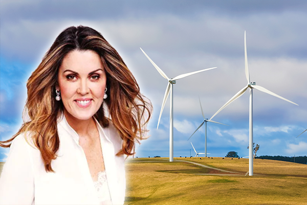 Peta Credlin blasts Labor’s energy policy olive branch as ‘leftist rubbish’