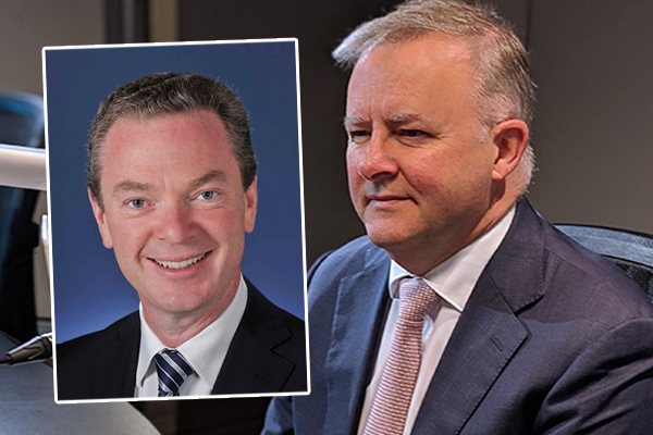 Anthony Albanese ‘too sentimental’ for top job says former political friend