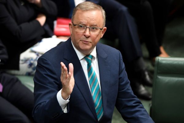 Article image for Anthony Albanese insists Prime Minister take responsibility on border closures