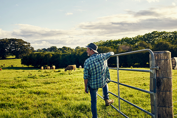 Article image for How your next holiday could help out a farmer too