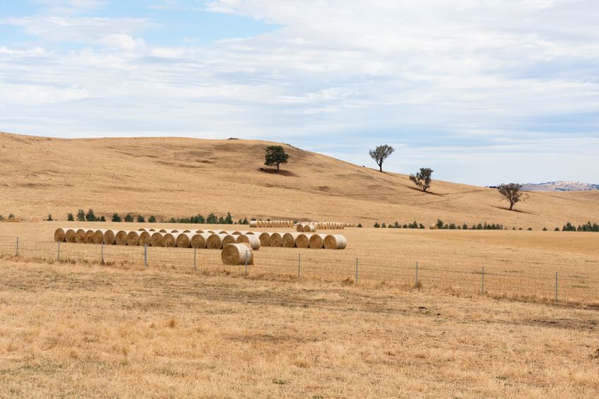 Farm-Hay-Bales