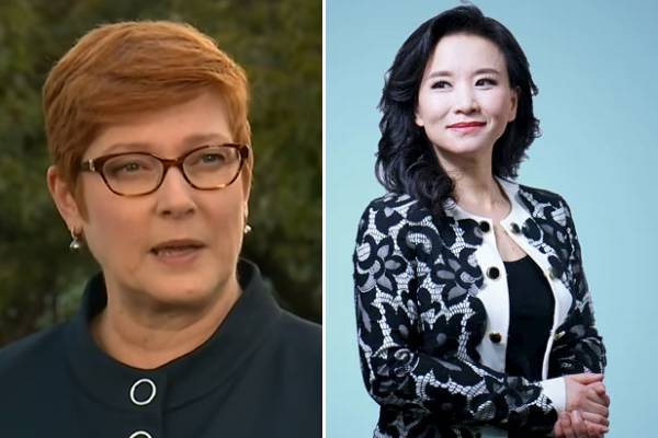 Article image for Foreign Minister rejects speculation around detention of Australian journalist