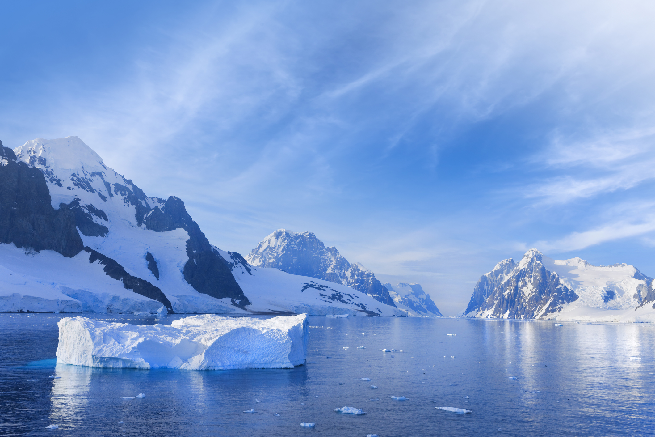 Article image for Aussies stranded in Antarctica train for ‘shocking’ new reality