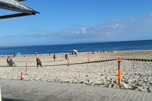 Article image for Aftermath of schoolies gathering causes beach closure