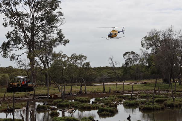 Article image for Councillor fights to drain the swamp of Brisbane’s bloodsuckers