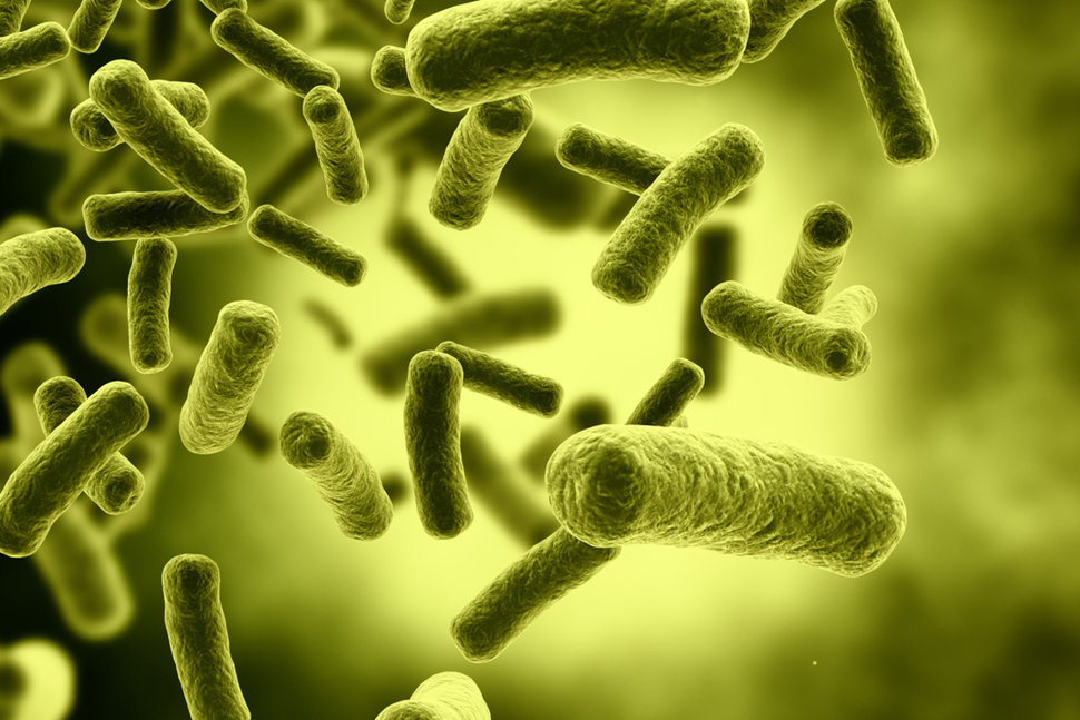 Fighting superbugs with artificial intelligence