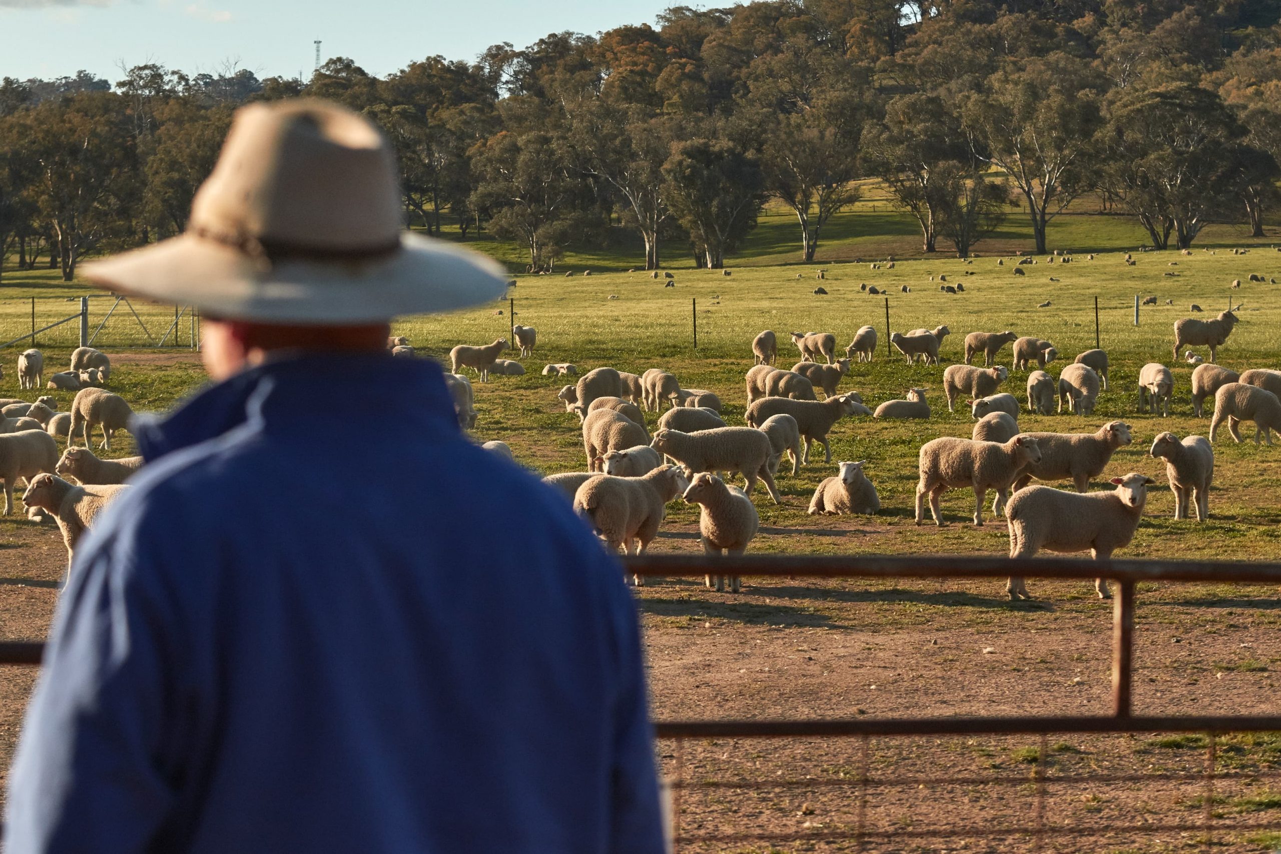 Article image for Regional opportunities a shear delight for job seekers