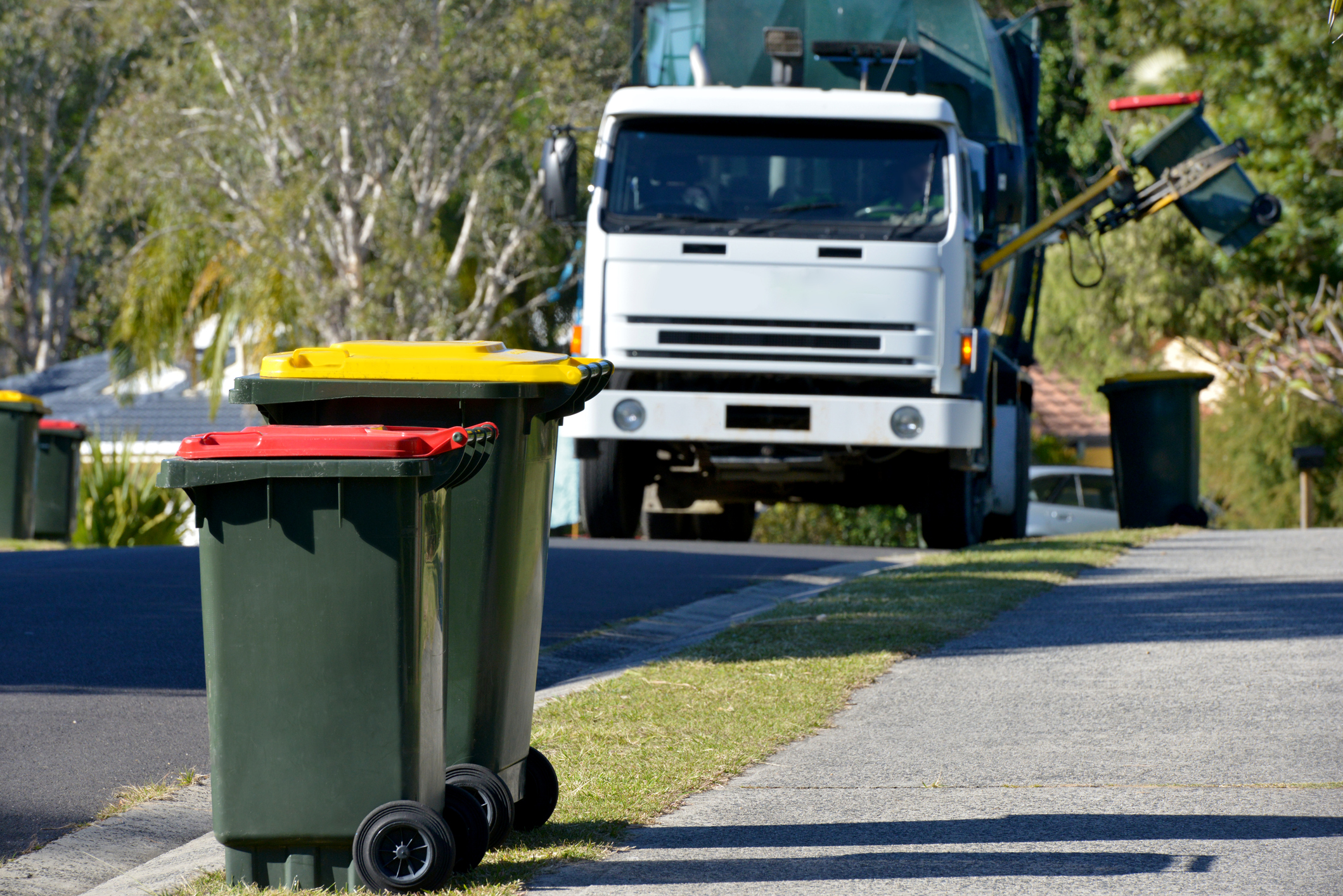 Article image for Moreton Bay residents warned to get their bins in order