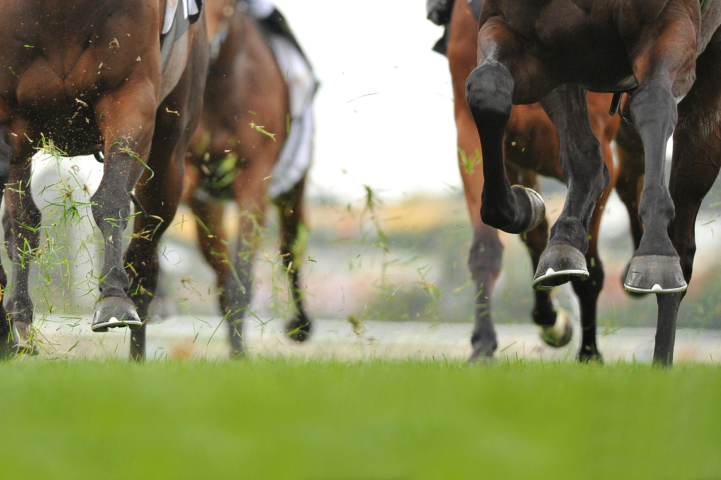 Article image for The ‘surreal’ look of the Melbourne Cup from a jockey’s perspective