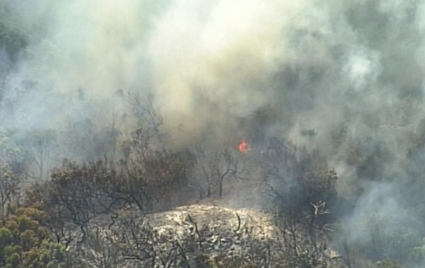 Article image for State Opposition hits out at fire response on Fraser Island