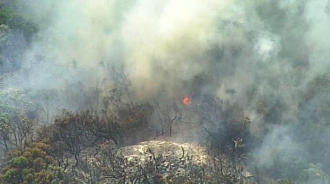 Fraser Coast mayor welcomes review into bushfire ravaging the island