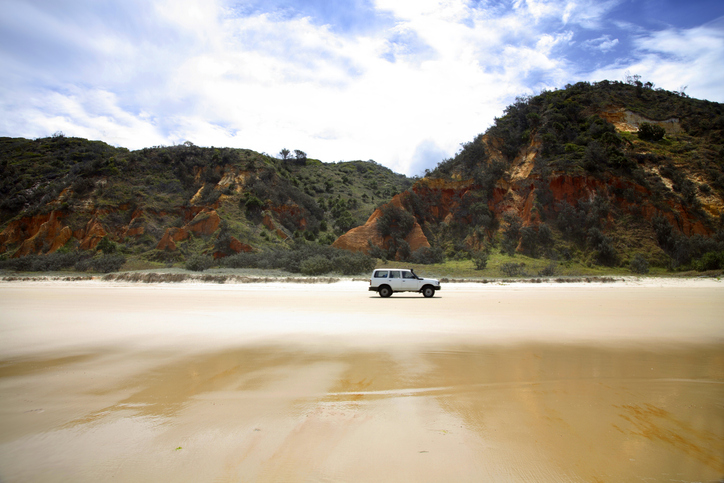 Article image for The fires are controlled but Fraser Island is facing a new struggle