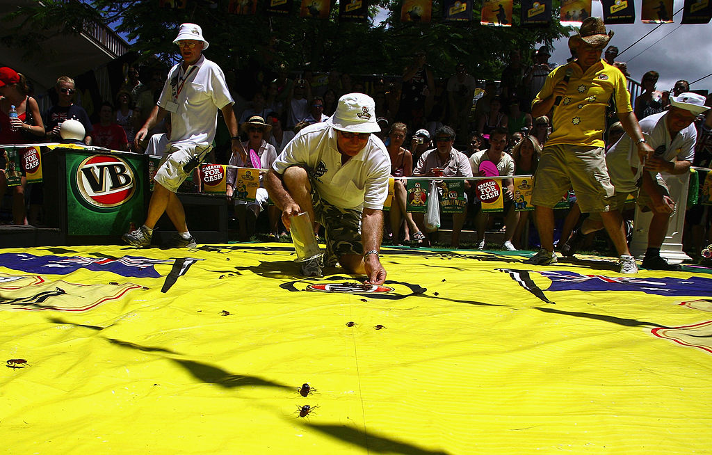 Article image for Annual roach races return to Story Bridge