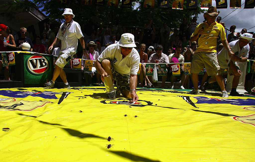 Annual roach races return to Story Bridge