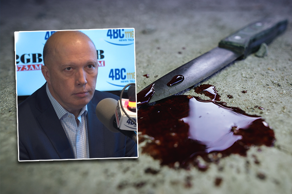 Article image for Peter Dutton hits out at ‘hand-wringers’ sugarcoating youth gang violence