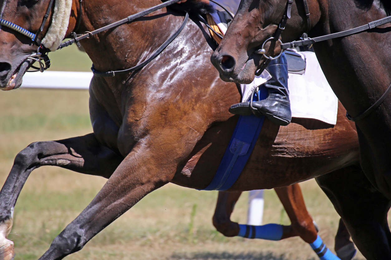 Drug-fuelled Magic Millions party turns violent at Chris Waller stables