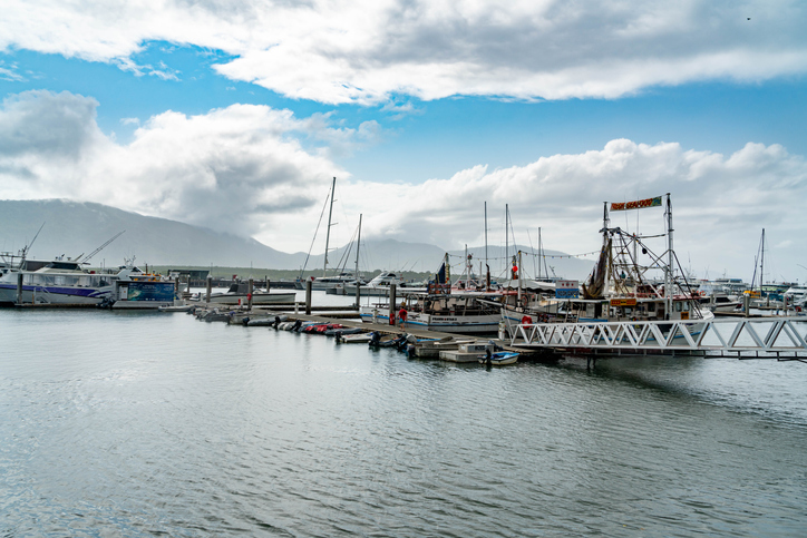 Article image for Confusing regulations strand tug boat crew in quarantine